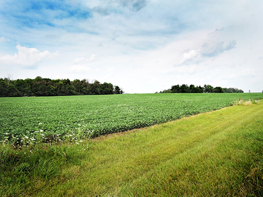 REAL ESTATE AUCTION - 47+/- ACRES IN 2 TRACTS IN RANDOLPH COUNTY, INDIANA